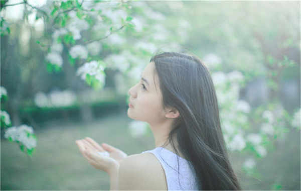 石楼验血查男女几周可以验(验血查男女结果图)